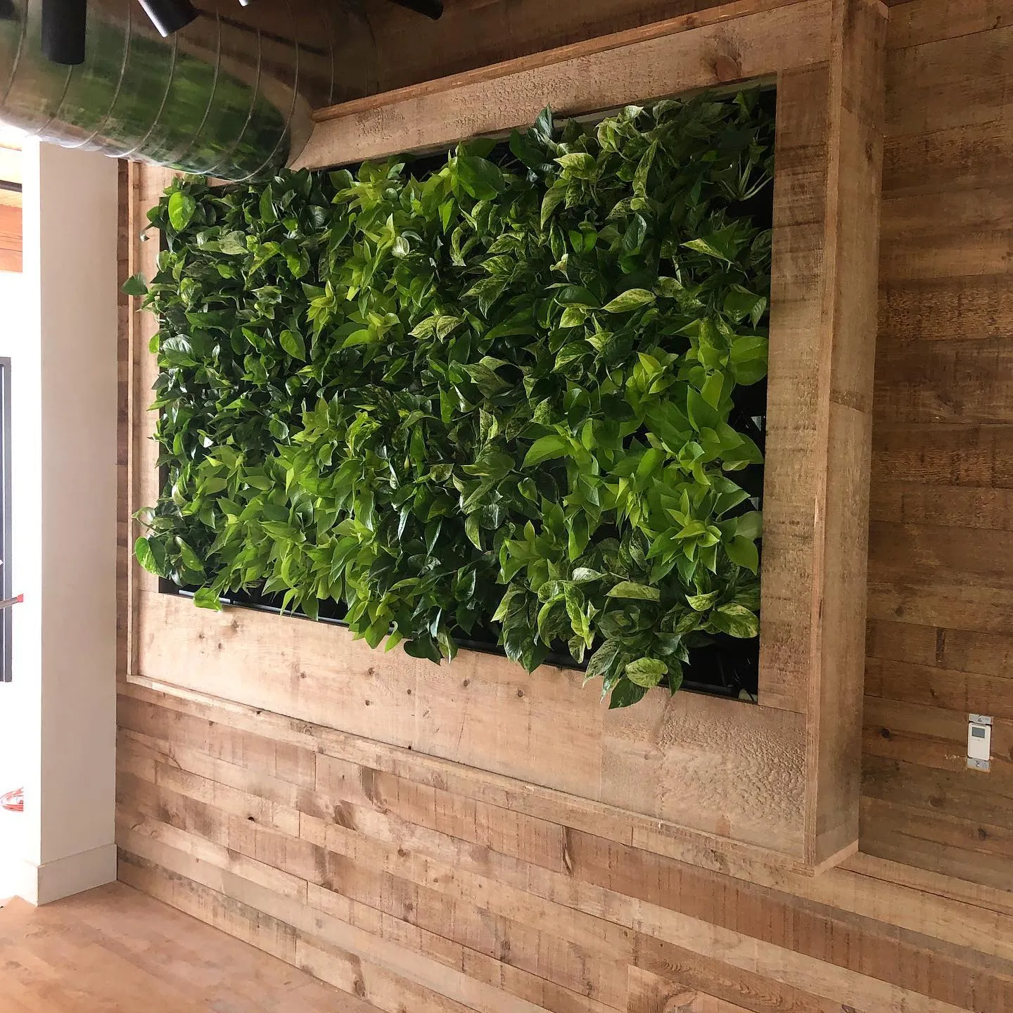Reclaimed wood living wall installation with plants by Walkercraft Carpentry